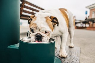 LK4420BF1UDBEVG górny widok